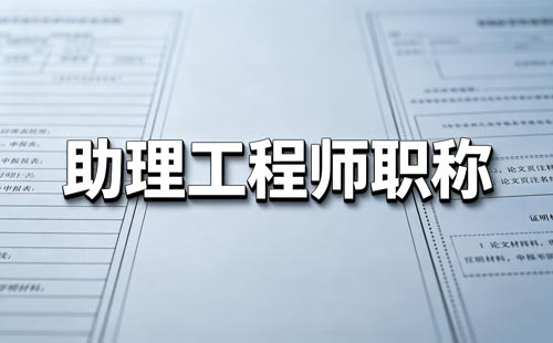 职称项目证明材料